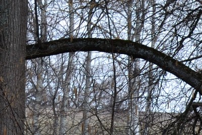 Tamron.jpg