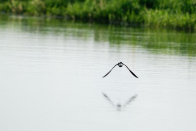 DSC_8579.jpg