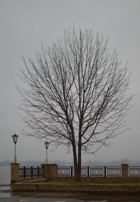 DSC_0776.jpg