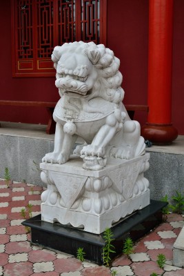 DSC_0004.jpg