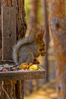 DSC_6404.jpg