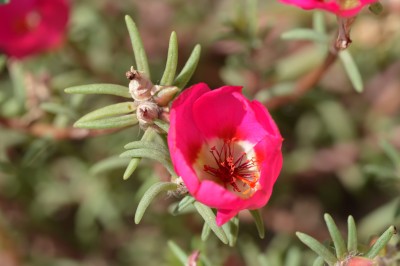 DSC_0231.jpg