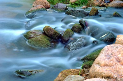 DSC_9393.jpg