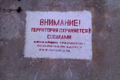 z_68ad7690s.JPG