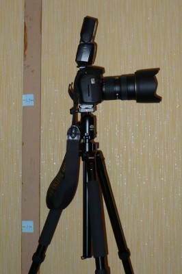 P1020430.jpg