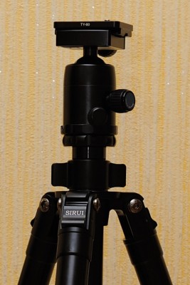 golova2.jpg