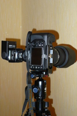 P1020437.jpg