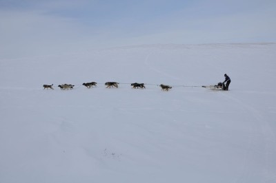 DSC_0372.JPG