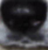 21-333.jpg