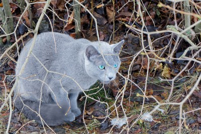 DSC00491_DxO-web.jpg