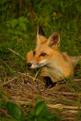 DSC_0846.jpg