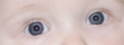 TEST_EYES.jpg