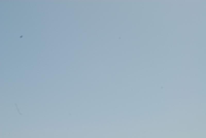 DSC_0014.jpg