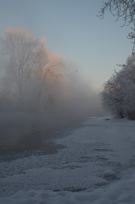 DSC_0150_01.JPG