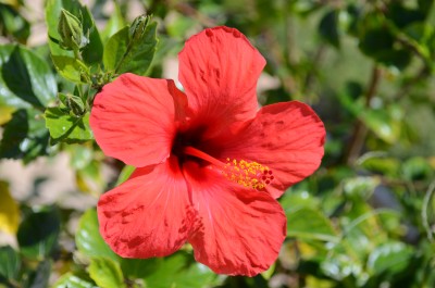 DSC_8516_1.jpg