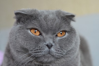 DSC_0311.JPG