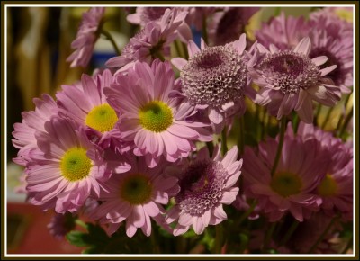 DSC_5080.jpg