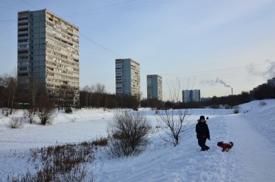 6NO_3619.JPG