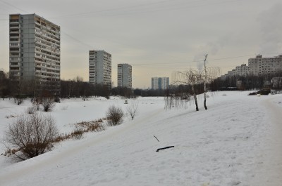 6NO_3981.JPG