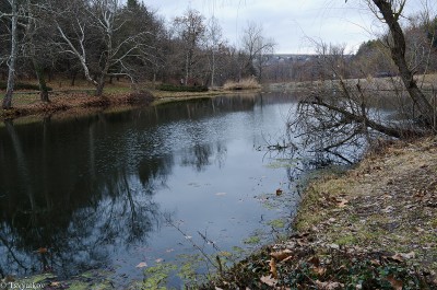 DSC_5024.jpg
