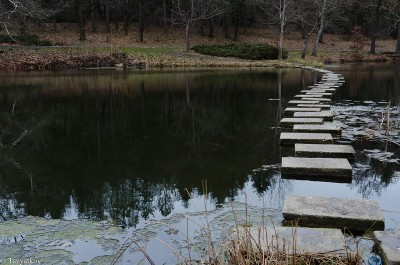 DSC_5034.jpg