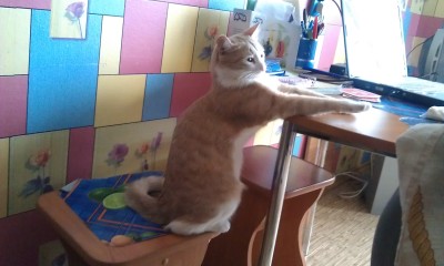 IMAG0045.jpg