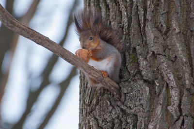 DSC_8823.jpg