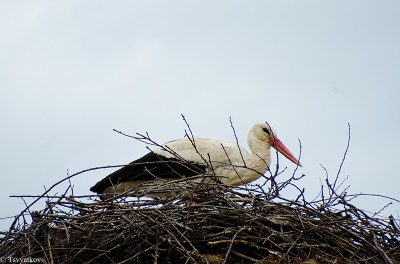 DSC_5348 - Copy.jpg