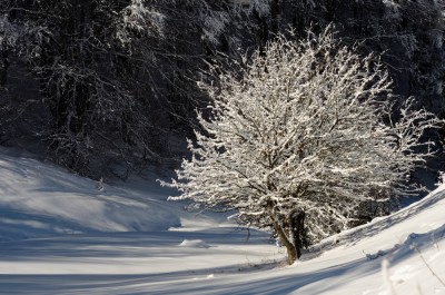 DSC_1394-2.jpg