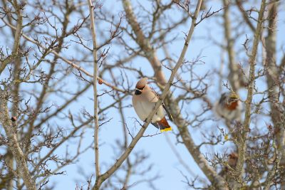 DSC_1115_012.JPG