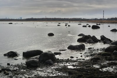 DSC_0137sm.jpg