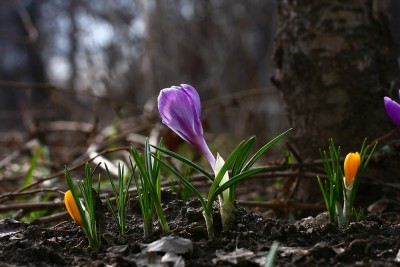 IMG_1660.JPG
