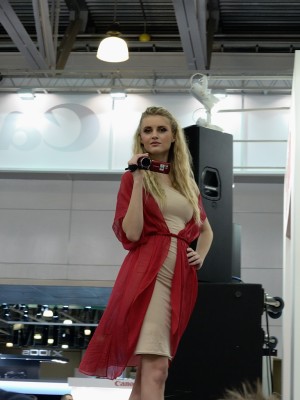 SVF_8570_2013Y0413.jpg