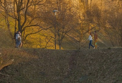 DSC_0939crop.jpg