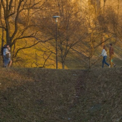 DSC_0939smcrop.jpg