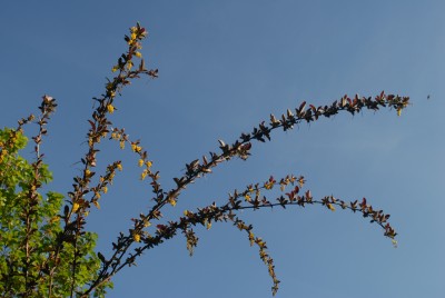 NDC_0284.JPG
