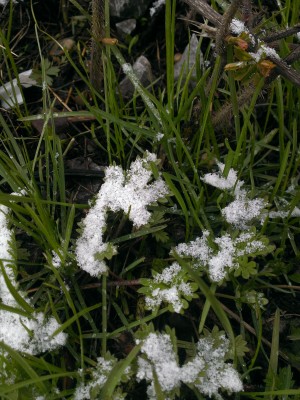 IMAG0137.jpg
