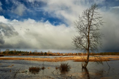 DSC_9230 копия.jpg
