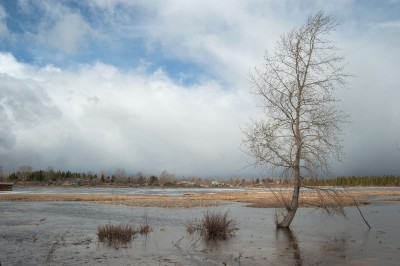 DSC_9230sm.jpg