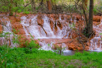 DSC_4141.jpg