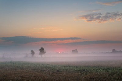TRS_0497-2.jpg