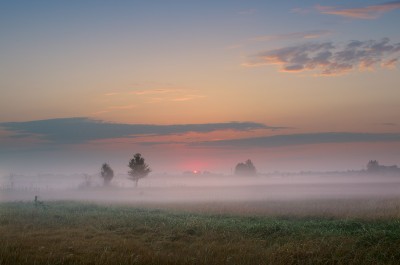 TRS_0497-3.jpg