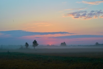 TRS_0497 1.jpg