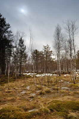 DSC_9167.JPG