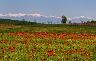 DSC_0472.jpg