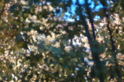 DSC_9874.jpg