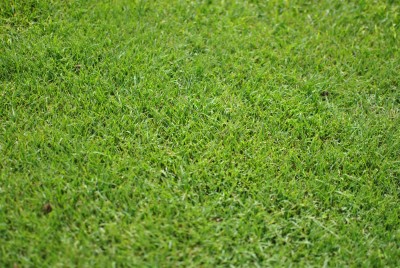 DSC_0118.JPG