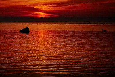 _DSC1613 копия 2.jpg