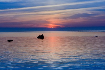 _DSC1613_2 копия.jpg
