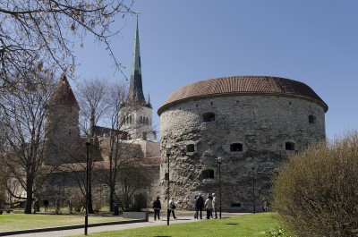 DSC_0202.JPG